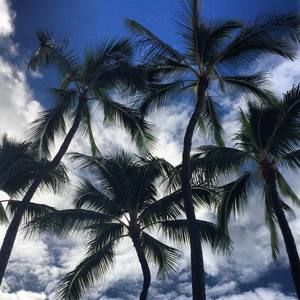 Meet your Posher, Thames